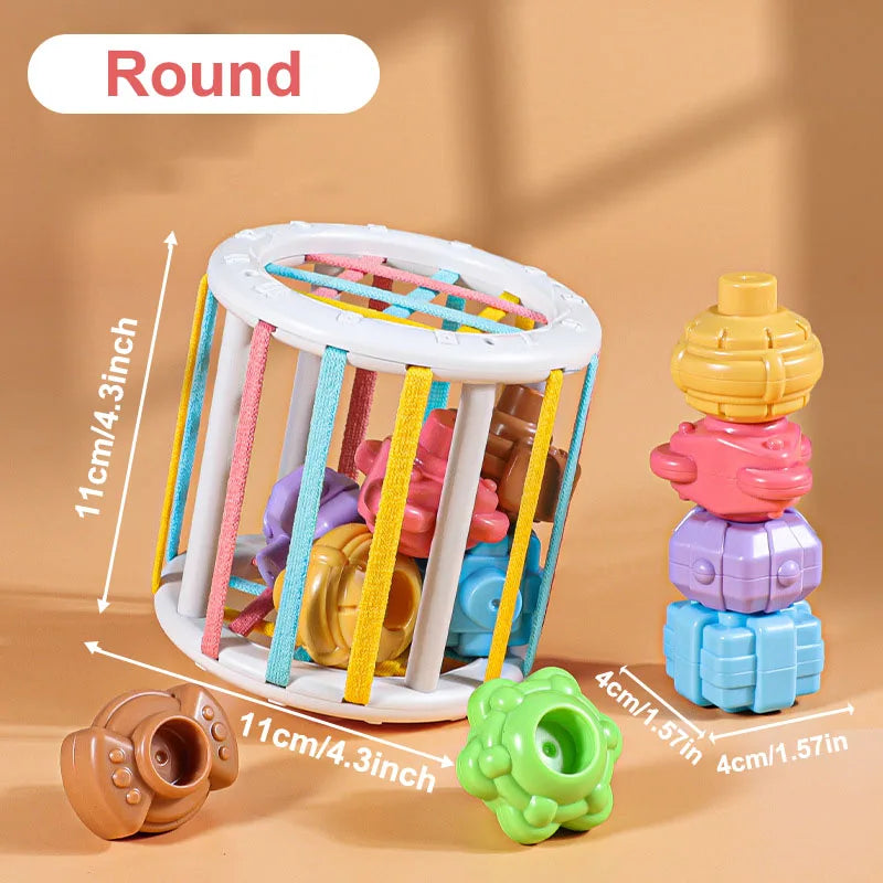 Montessori Baby Toys 18 Months Sensory Development Learning Educational Toys Colorful Blocks Sorting Game For Babies Infant